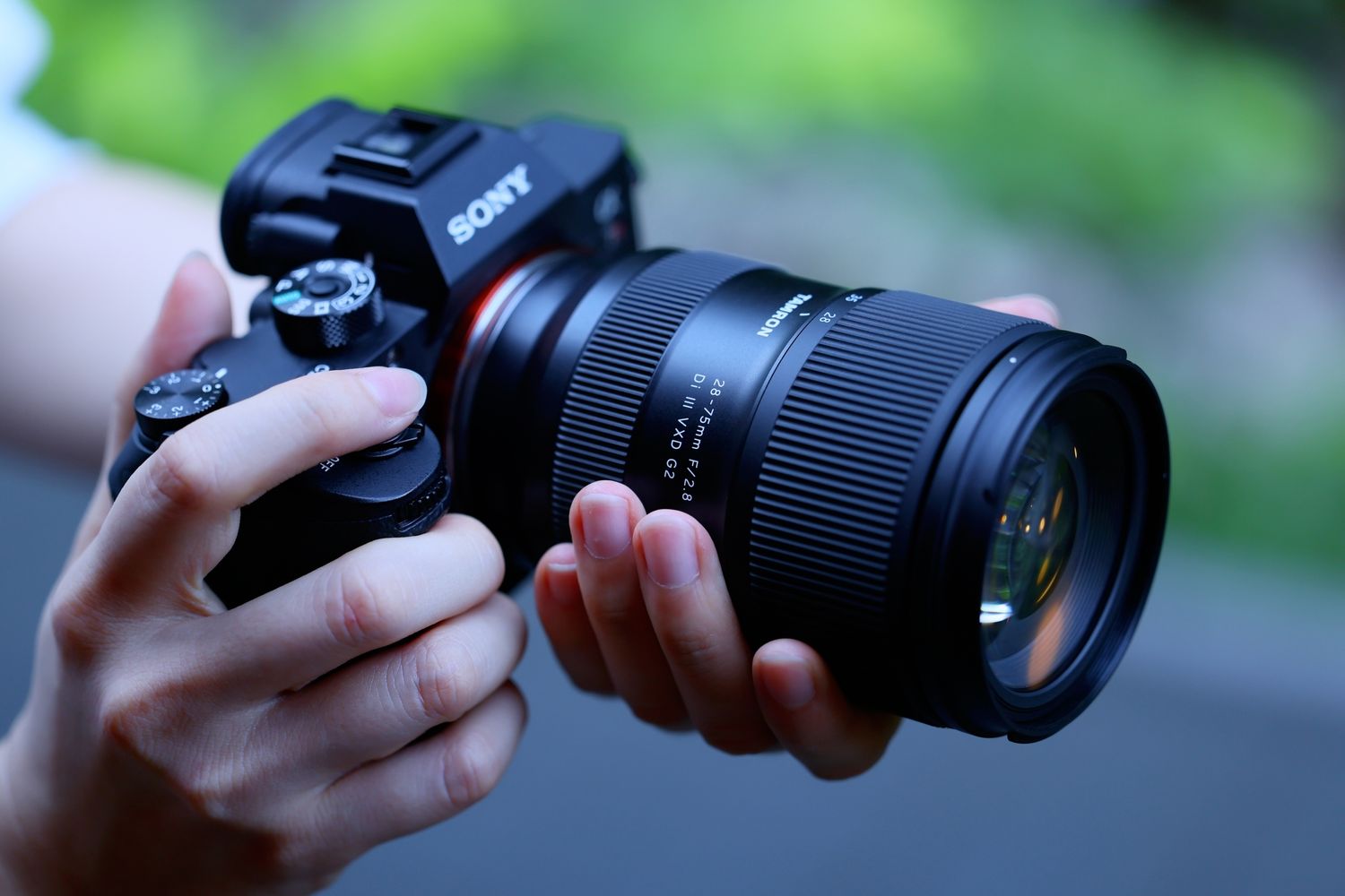 Tamron