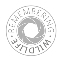 Remembering Wildlife