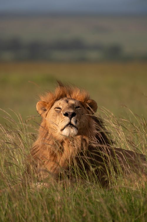 Discover more about Penda Photo Tours