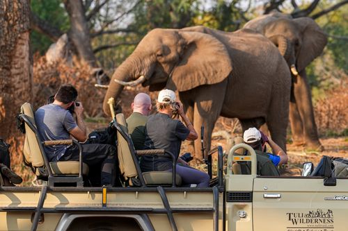 Botswana Photo Safari