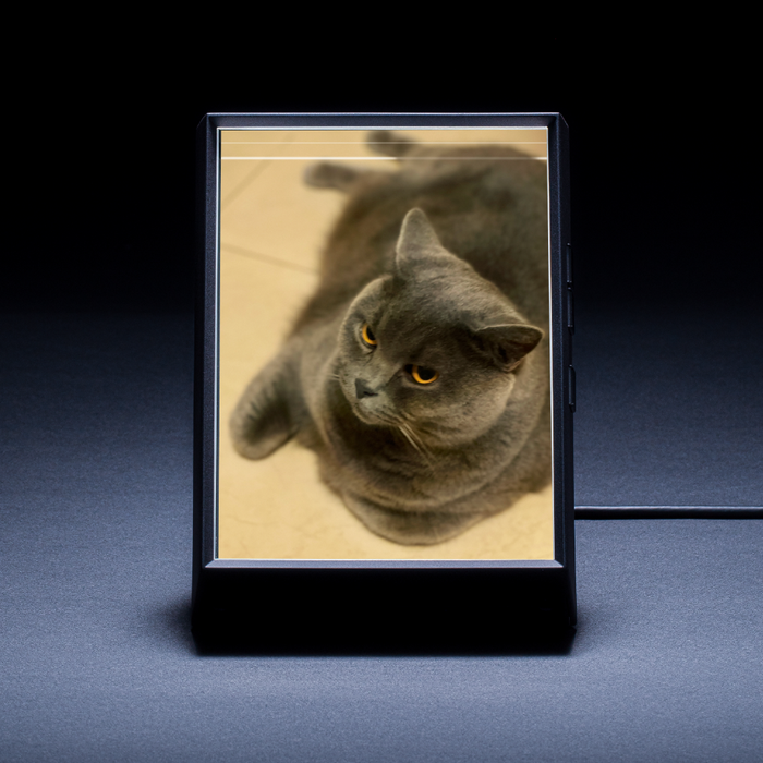 Looking Glass Portrait