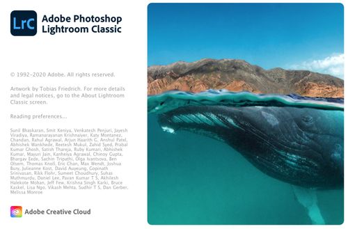 Online 1-2-1 Training - Lightroom