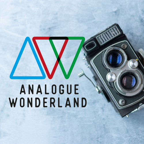 Analogue Wonderland