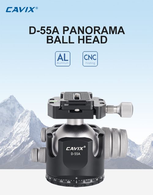 D-55A Panorama Ball Head