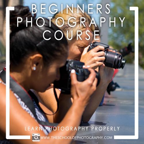 Beginner's Photography Course