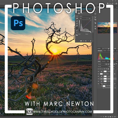 Photoshop Course