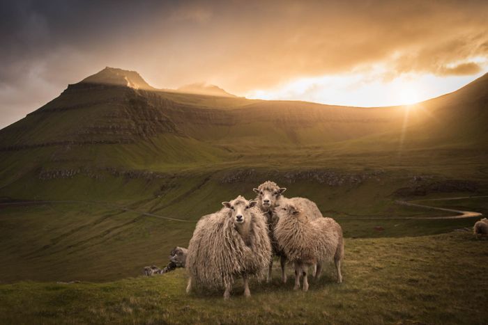 Pro Landscape Photography Course with Tom Archer