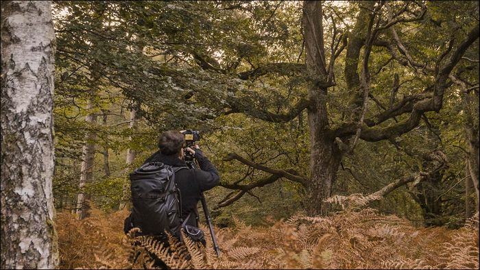 Forest Photography with Jack Lodge