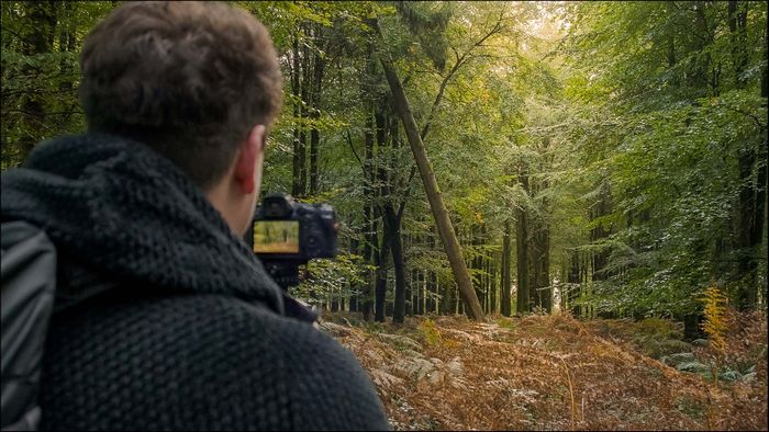 Forest Photography with Jack Lodge