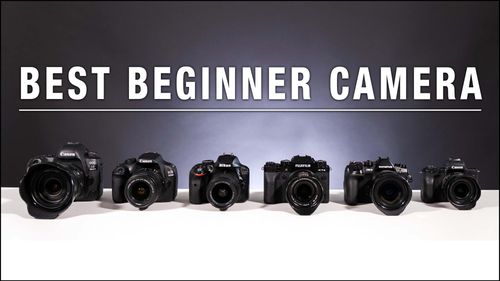 Best Beginner Camera - What you need to know