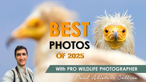 Behind The Photos - Meet Paul