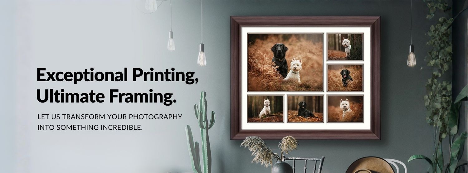 Cover image - One Vision Imaging