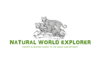 Company name - Natural World Explorer