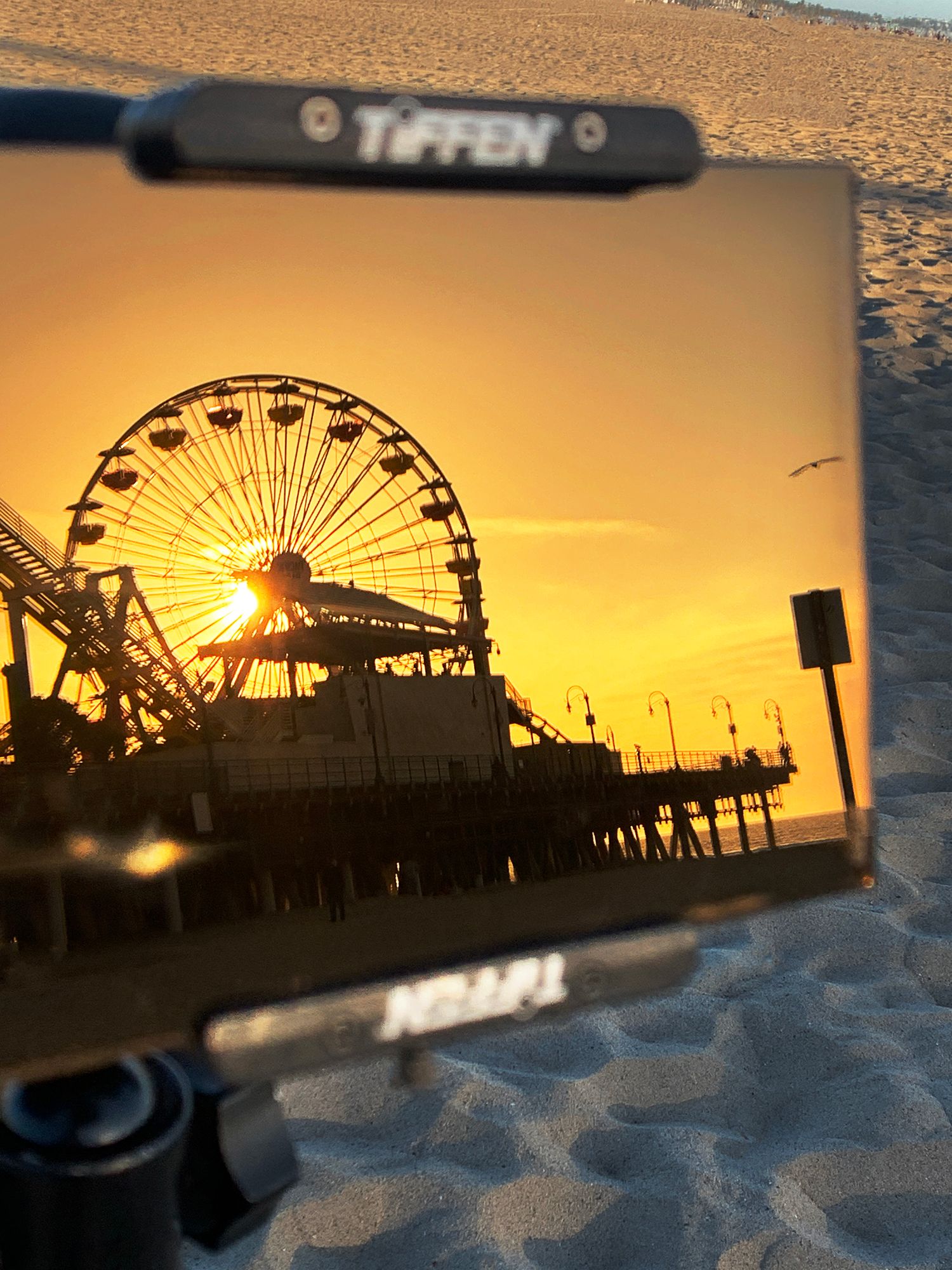 Cover image - Tiffen