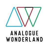 Company name - Analogue Wonderland