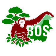 Company name - Borneo Orangutang Survival