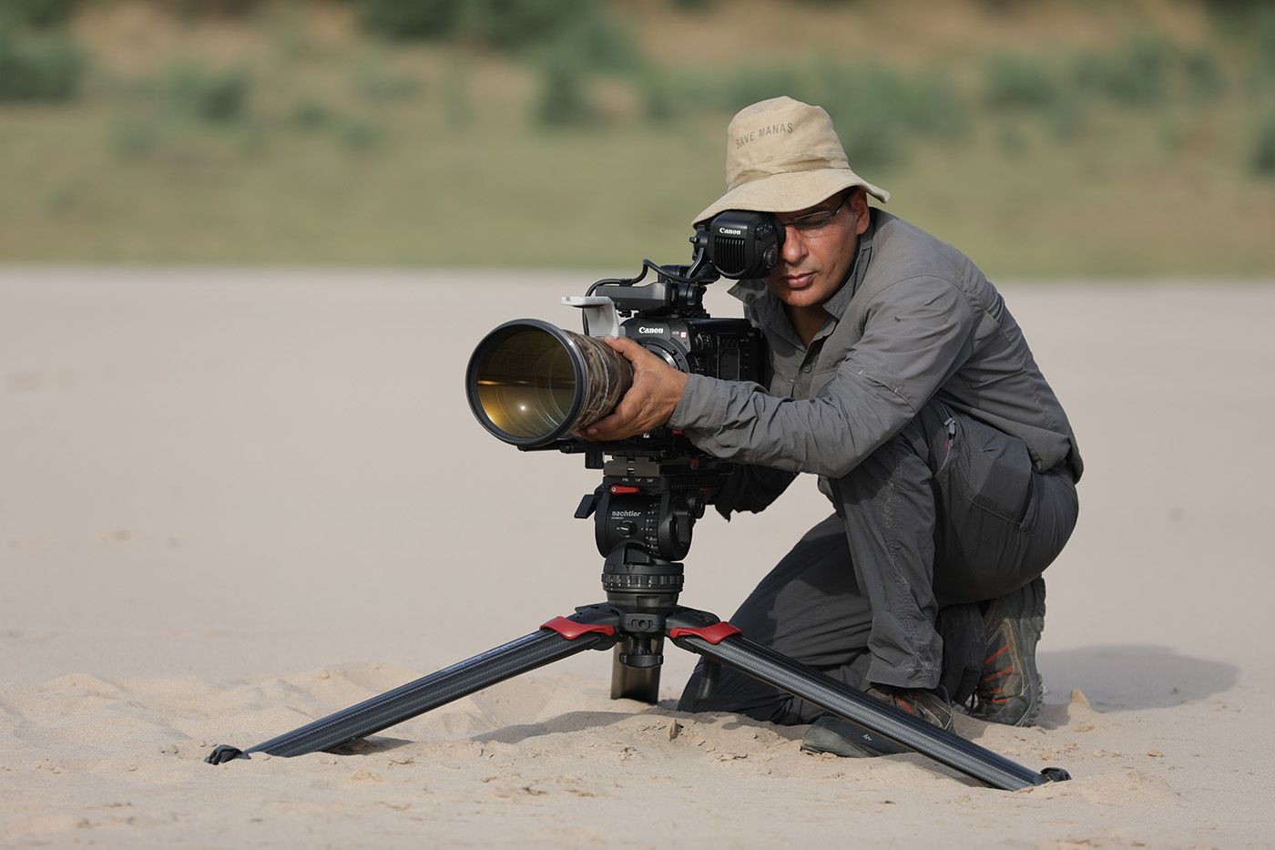 Cover image - Sachtler