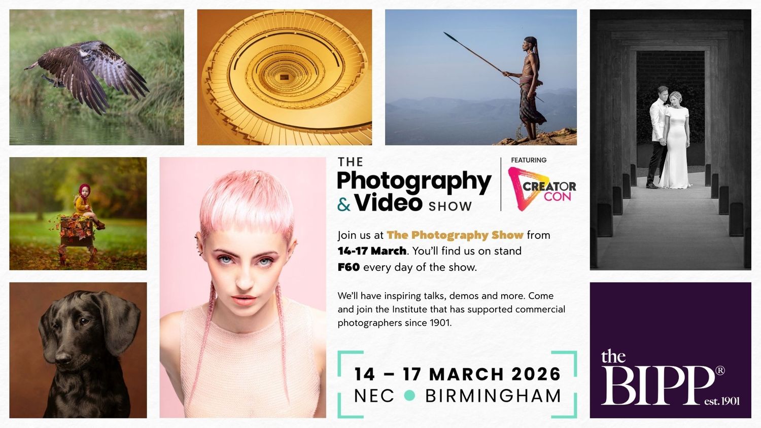 Cover image - British Institute of Professional Photography