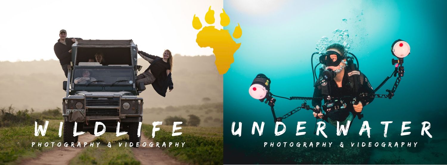 Cover image - Africa Media