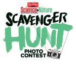 Scavenger Hunt Photo Contest