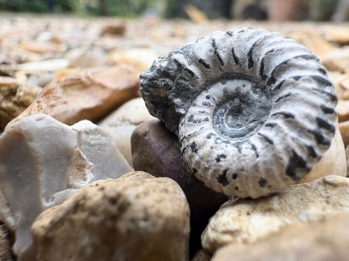 No Ordinary Rock