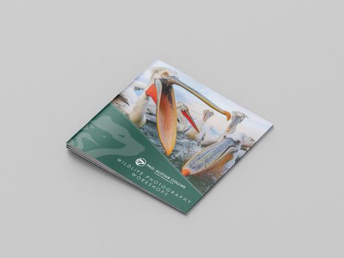 2025 Tour Brochure