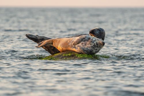 Estonia Photo Tour