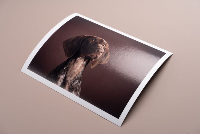 Prints