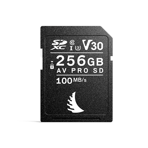 SD V30