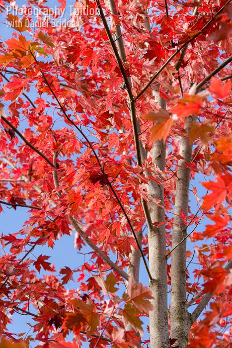 Know The Basics Photography Workshops