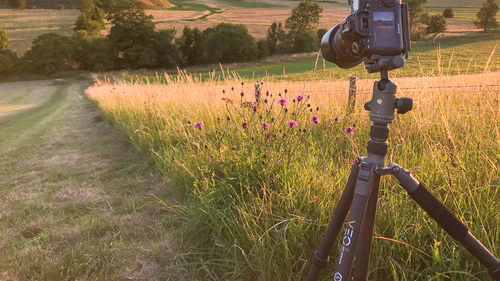 VEO 3 GO Tripods