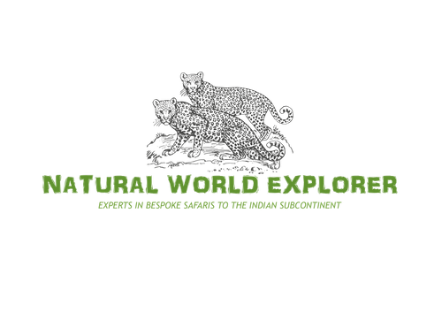 Natural World Explorer
