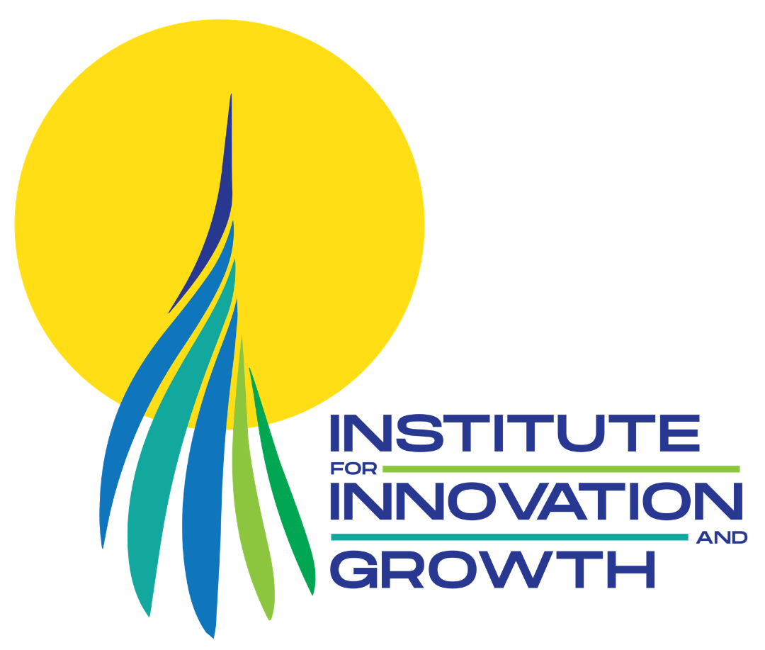 IIG Logo