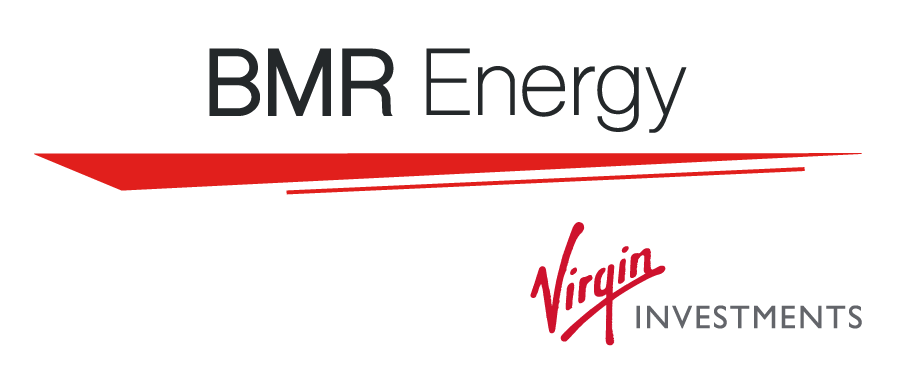 Company logo image for Bruce L. Levy