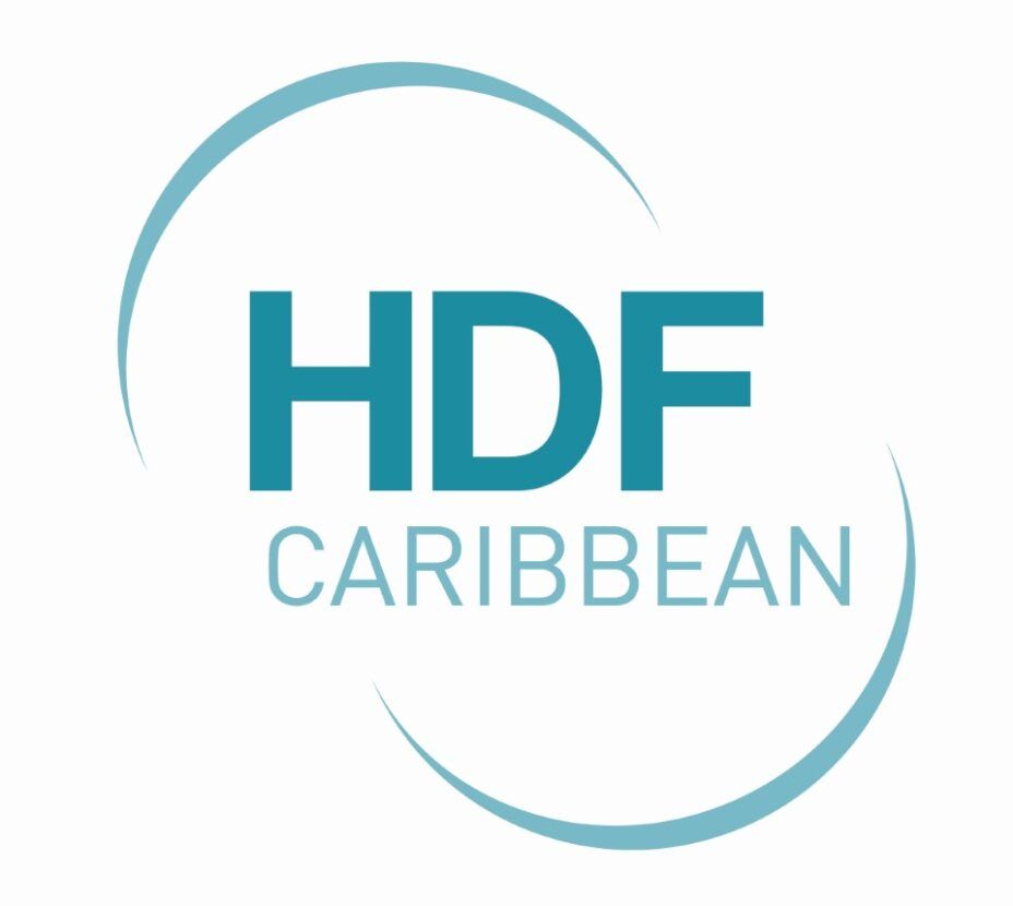 Company logo image for Thibault Menage
