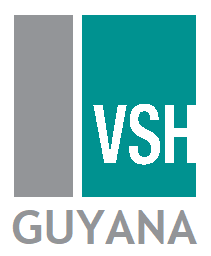 VSH United Guyana Inc.
