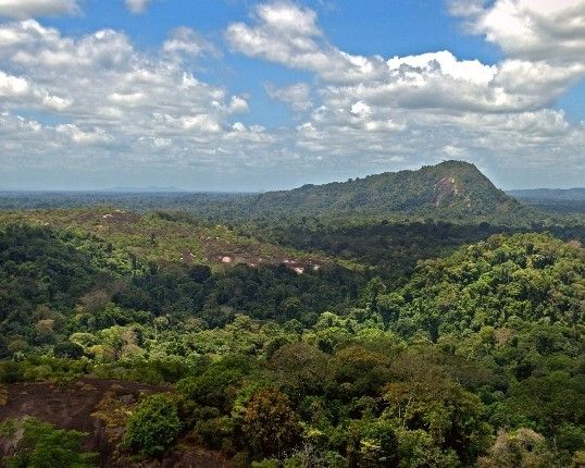 Central Suriname Nature Reserve