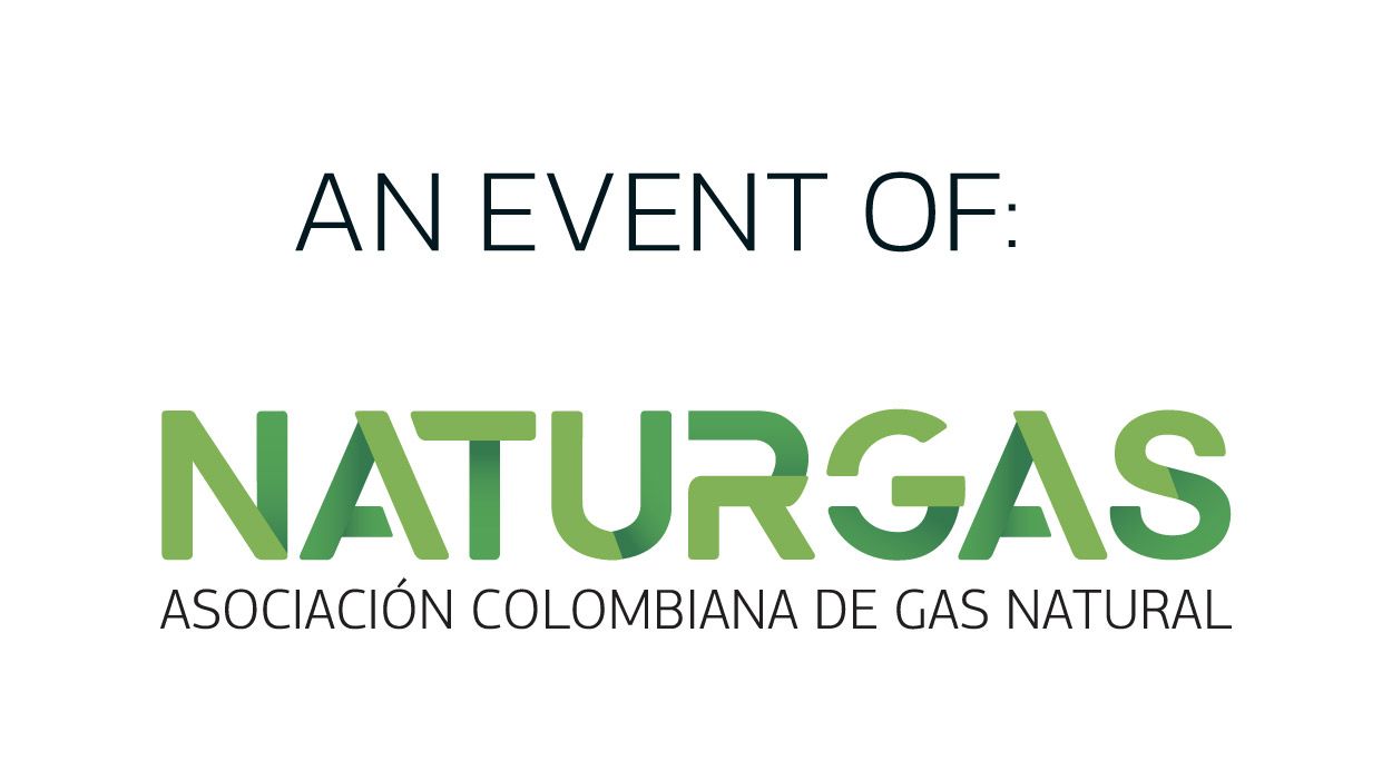 Naturgas_logo