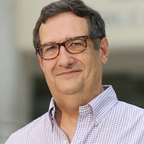 Adolfo Meisel Roca