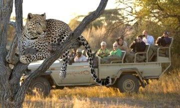 Okonjima & AfriCat Foundation - Close  encounters with Big Cats