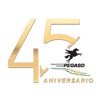 Company name - Transportes Aereos Pegaso (TAPSA)