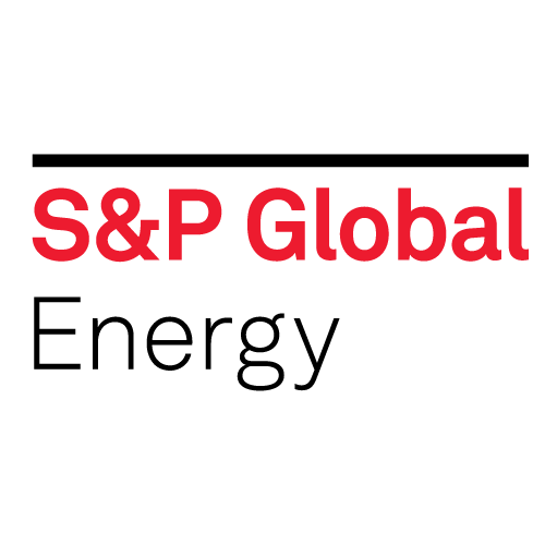 Company logo image for Ricardo Bedregal