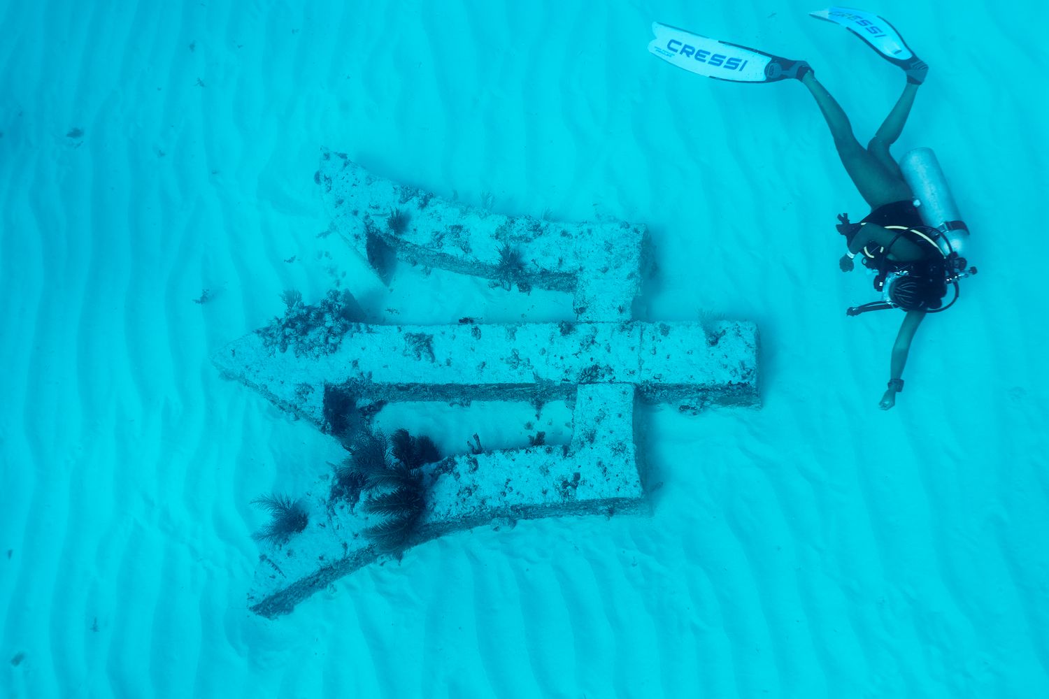 Cover image - Barbados Tourism Marketing Inc.