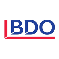 Company name - BDO Suriname