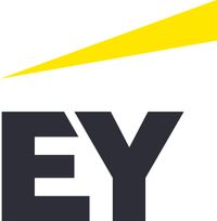 Company name - EY Suriname