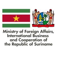 Company name - Ministry of Foreign Affairs, International Business and International Cooperation of Suriname
