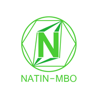 Company name - NATIN - MBO