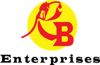 Company name - Roy Boedhoe's Enterprises