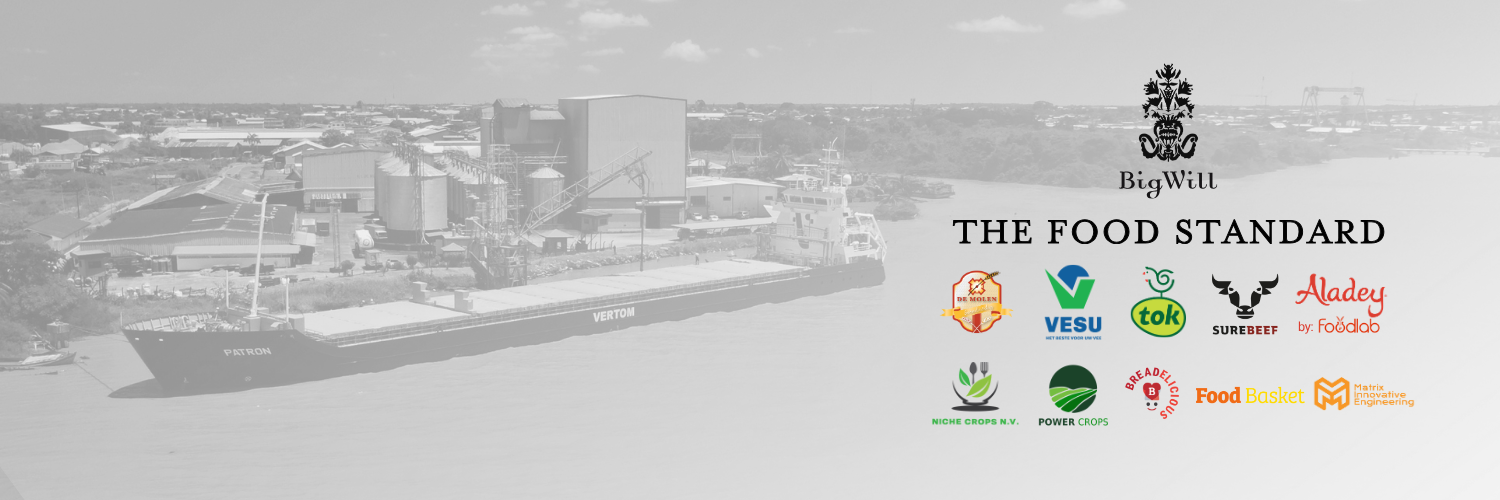 Cover image - Big Will Group NV