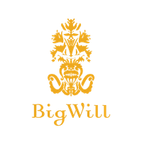 Company name - Big Will Group NV